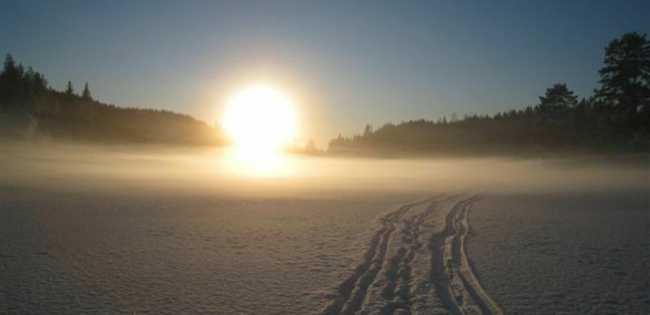 Bilde av en lav sol over skispor